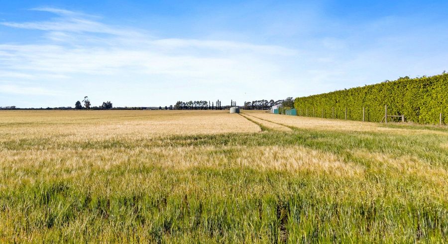  at 215 Falvey Road, Timaru, Timaru, Canterbury