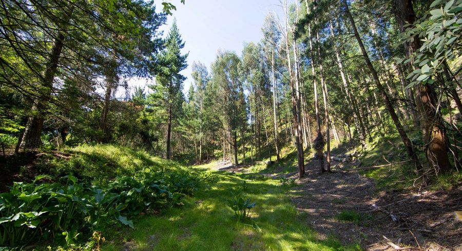  at Lot 1/74 Te Mata Peak Road, Havelock North, Hastings, Hawke's Bay