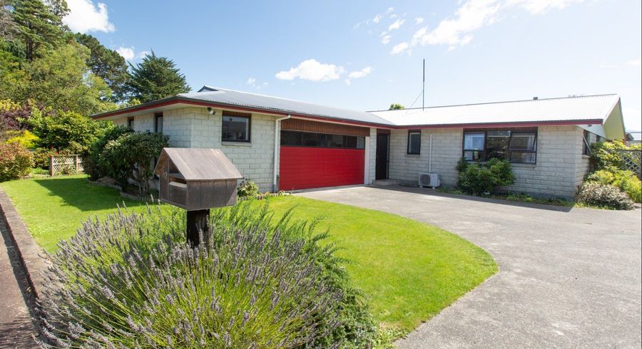  at 12 Windsor Street, Dannevirke