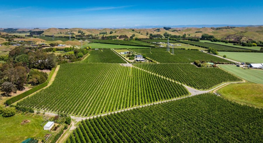  at 490 Puketitiri Road, Puketapu, Napier South, Napier, Hawke's Bay