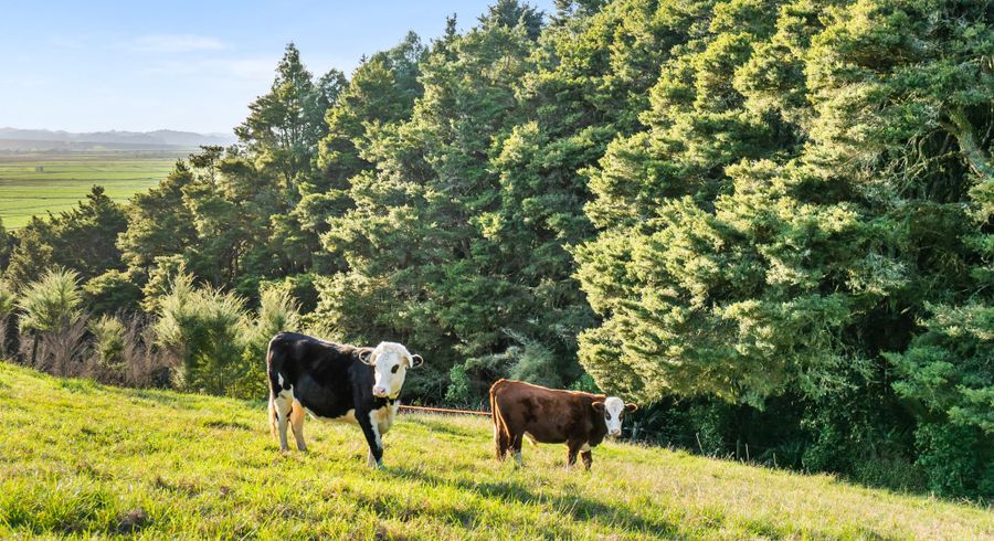  at 389A Crane Road, Kauri, Whangarei, Northland