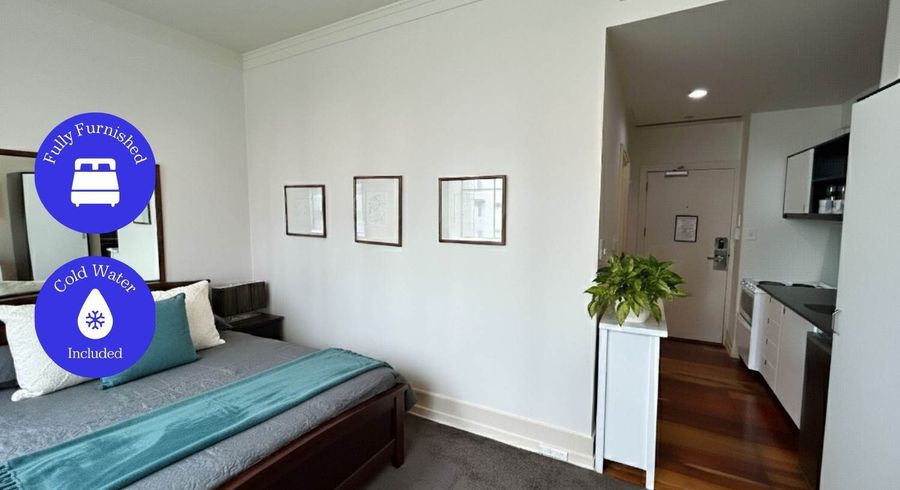  at 528/35 Hobson Street, City Centre, Auckland City, Auckland