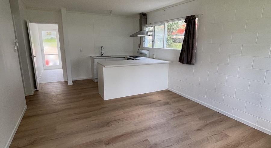  at 17 Don Croot Street, Kingsland, Auckland City, Auckland