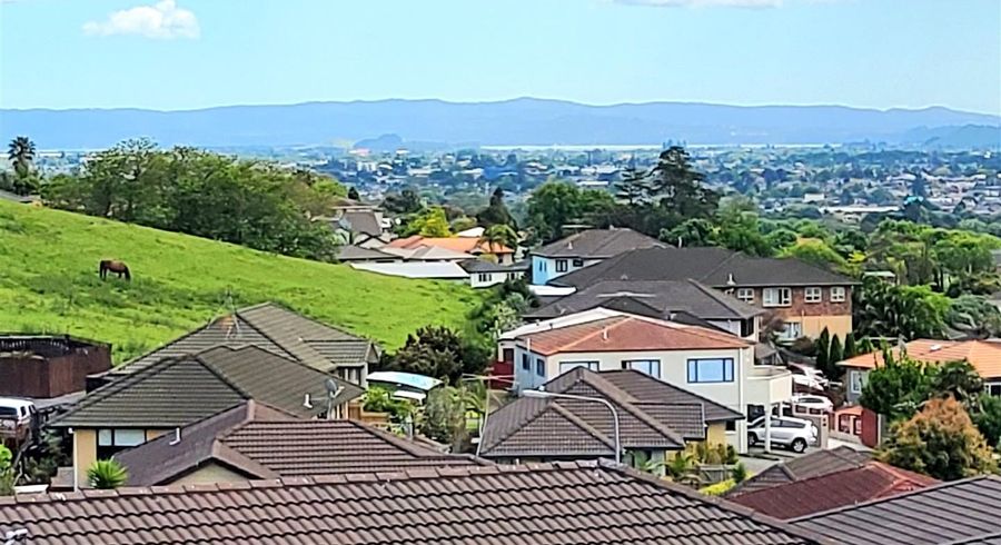  at 21 Timo Way, Flat Bush, Manukau City, Auckland