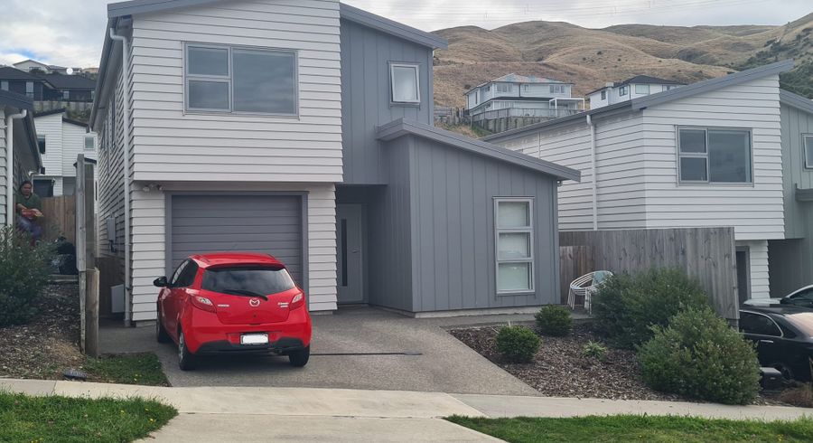  at 133 Amesbury Drive, Churton Park, Wellington, Wellington