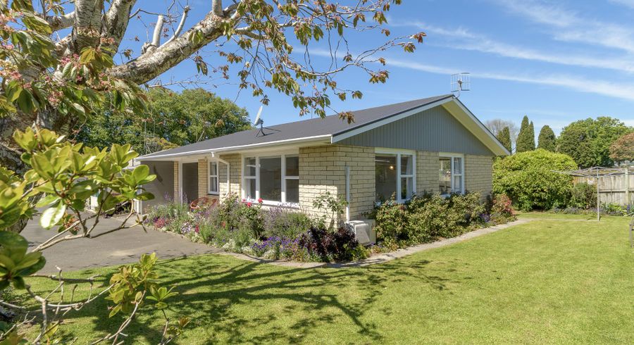  at 48 Seventeenth Avenue, Tauranga South, Tauranga, Bay Of Plenty