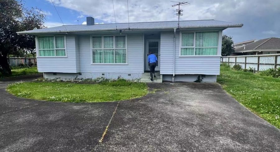  at 17 Von Sturmer Street, Mangere East, Auckland