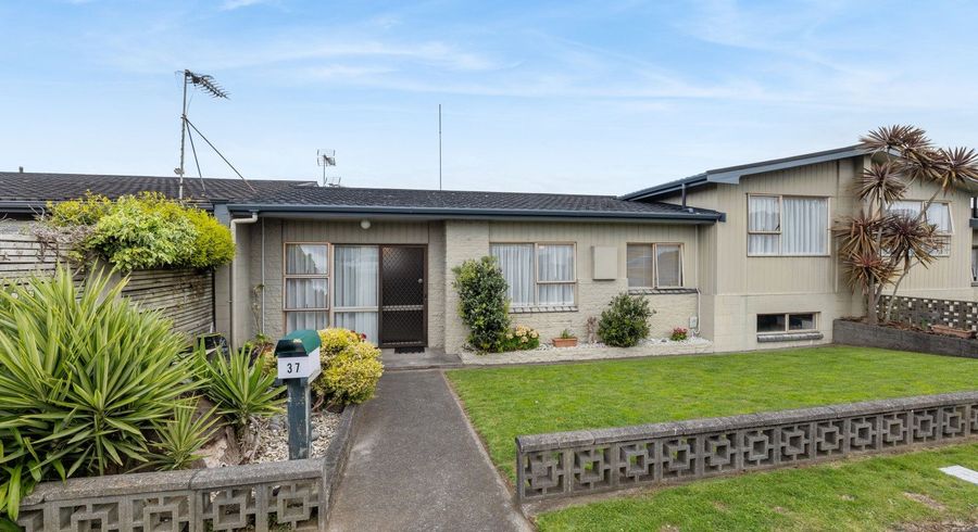  at 37 Birdwood Avenue, Moturoa, New Plymouth
