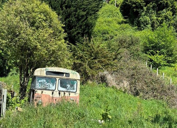  at 100 Glen Road, The Glen, Dunedin, Otago