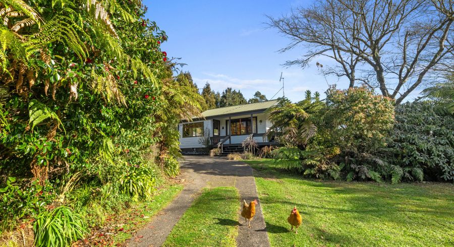  at 1558 Pyes Pa Road, Oropi, Tauranga