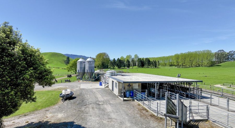  at 441 State Highway 38, Rerewhakaaitu, Rotorua, Bay Of Plenty