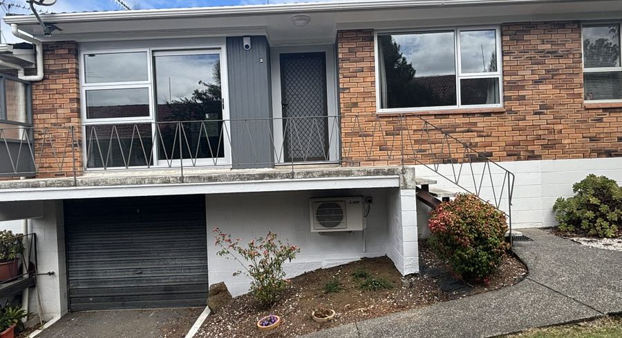  at 3/45 Alberton Ave, Mount Albert, Auckland City, Auckland