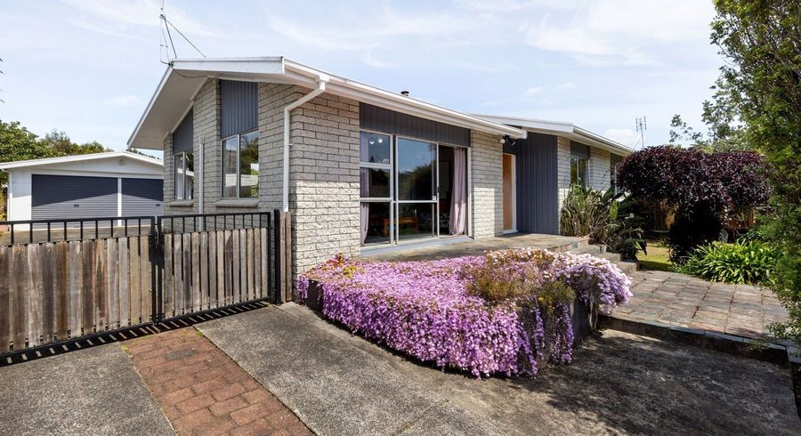  at 36 Caernarvon Street, Dinsdale, Hamilton