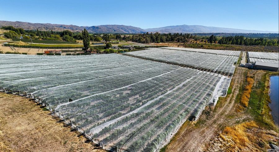  at Lot 2 Earnscleugh Road, Alexandra, Central Otago, Otago
