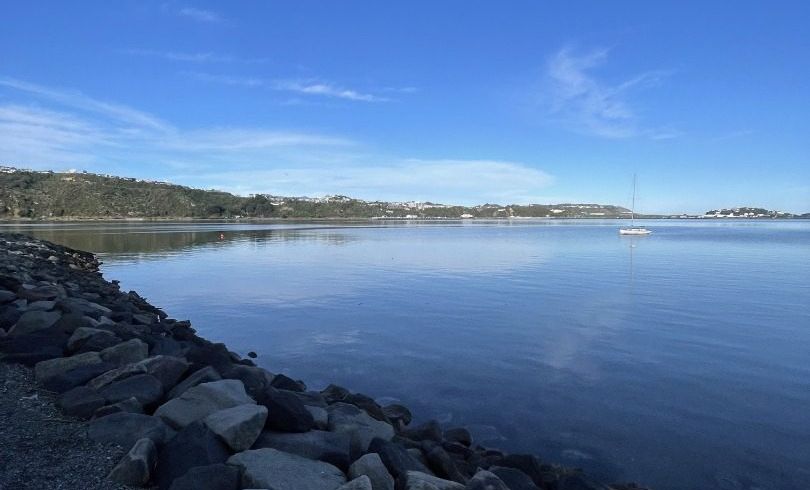  at 305 Evans Bay Parade, Hataitai, Wellington, Wellington