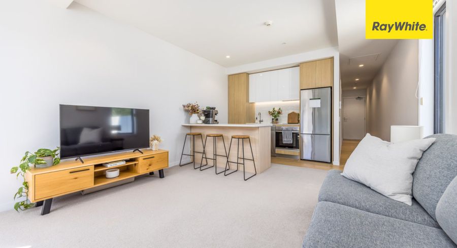  at 316/43 Edwin Street, Mount Eden, Auckland City, Auckland