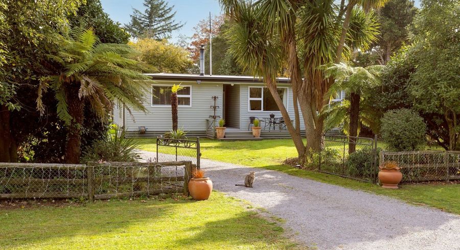  at 1429 River Road, Broadlands Forest, Taupo, Waikato