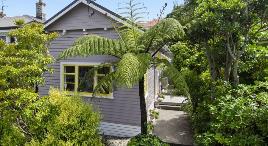  at 107 Mein Street, Newtown, Wellington