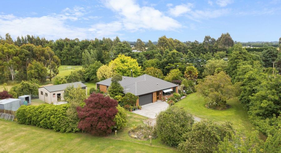  at 50 Irvines Road, Leeston