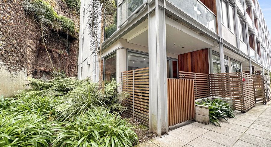  at W101/28 Torrens Terrace, Mount Cook, Wellington