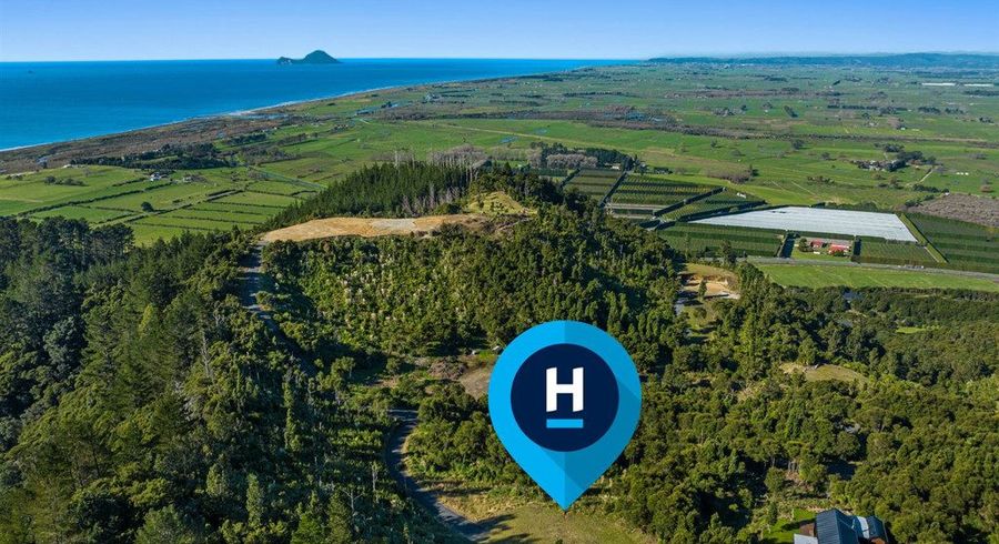  at 197 Kokako Heights, Matata, Whakatane, Bay Of Plenty