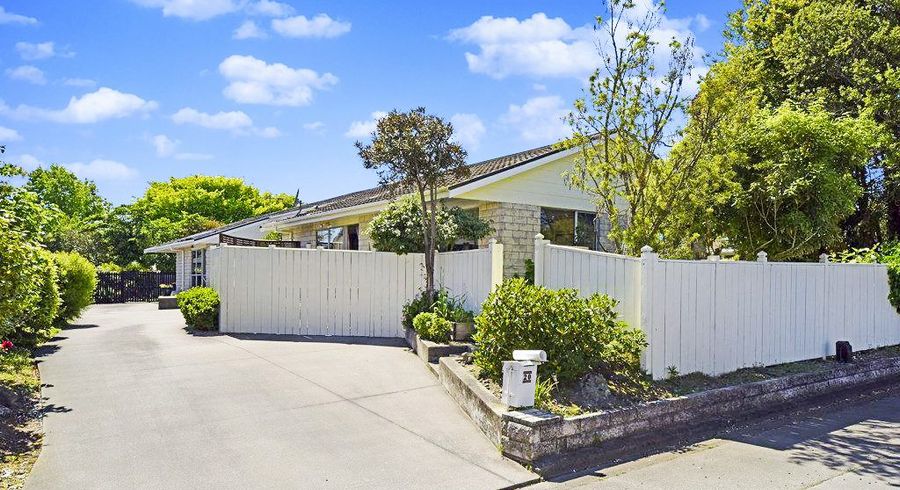  at 20 Rawlings Lane, Somerfield, Christchurch