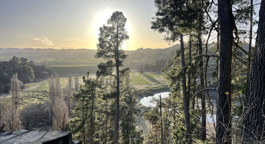  at 1019 Dartmoor Road, Puketapu, Hastings, Hawke's Bay