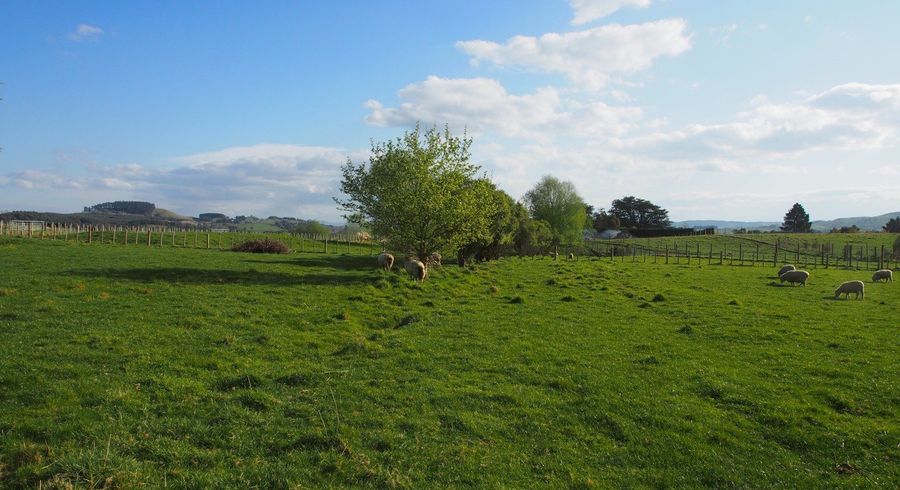  at Lot 2, 191 Tapairu Road, Waipawa, Central Hawke's Bay, Hawke's Bay