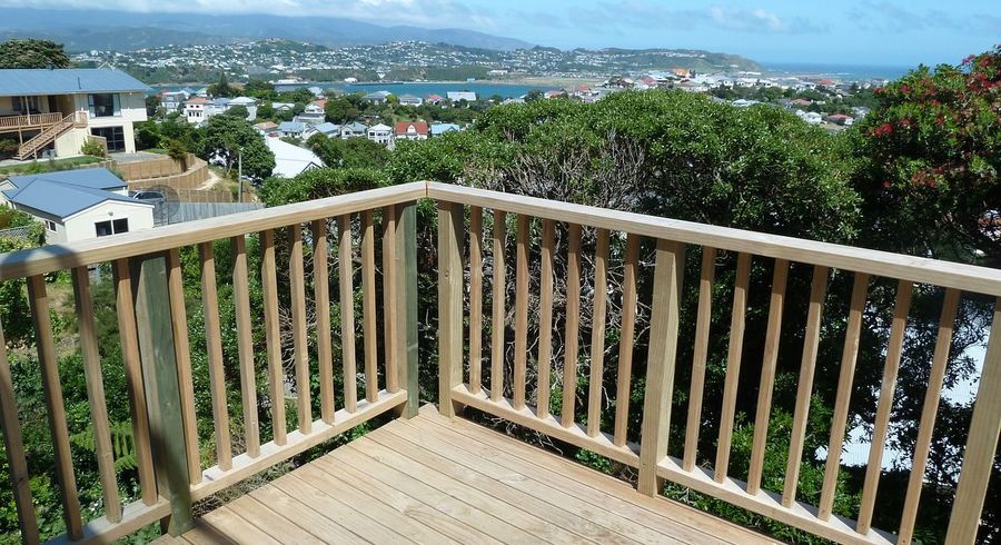  at 111A Rakau Road, Hataitai, Wellington, Wellington