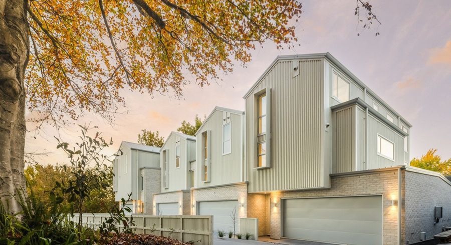  at 1/2 Woodstock Road, Fairfield, Hamilton, Waikato