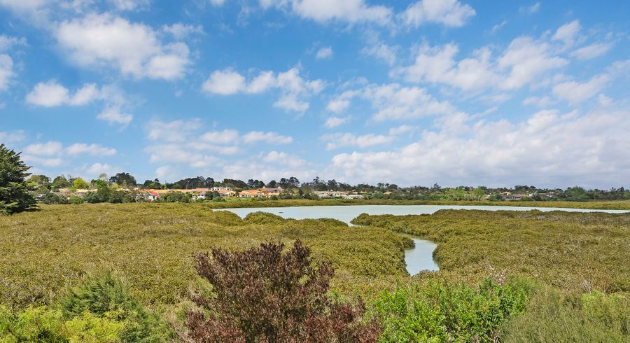  at 66 Matawhanga Drive, Wattle Downs, Manukau City, Auckland