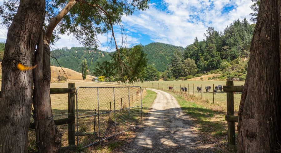  at 407 Onamalutu Road, Blenheim