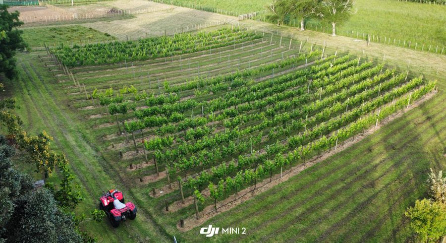  at 177 Taupaki Road, Taupaki, Rodney, Auckland