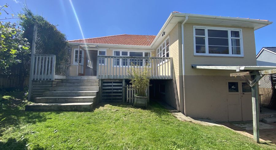  at 29 Bledisloe Terrace (Hayes Paddock), Hamilton East, Hamilton, Waikato