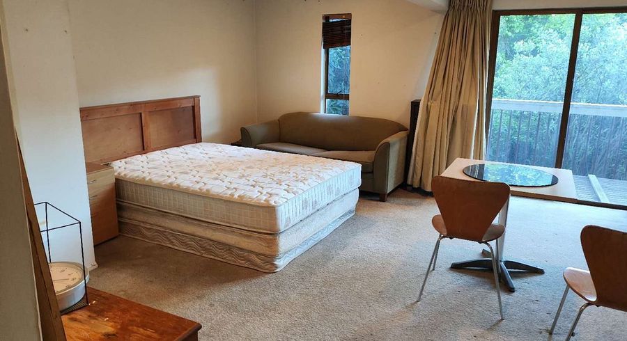  at 148 Lucerne Road, Remuera, Auckland City, Auckland