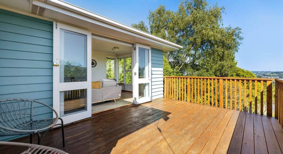  at 137 Mulford Street, Concord, Dunedin