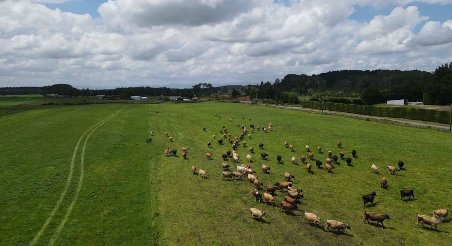  at 1480 State Highway 1, Himatangi, Manawatu, Manawatu / Whanganui