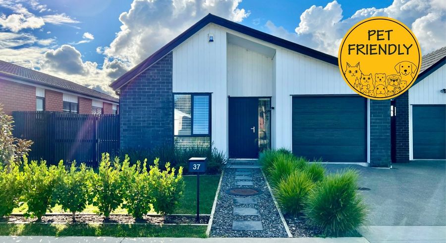  at 37 John Main Drive, Ramarama, Franklin, Auckland