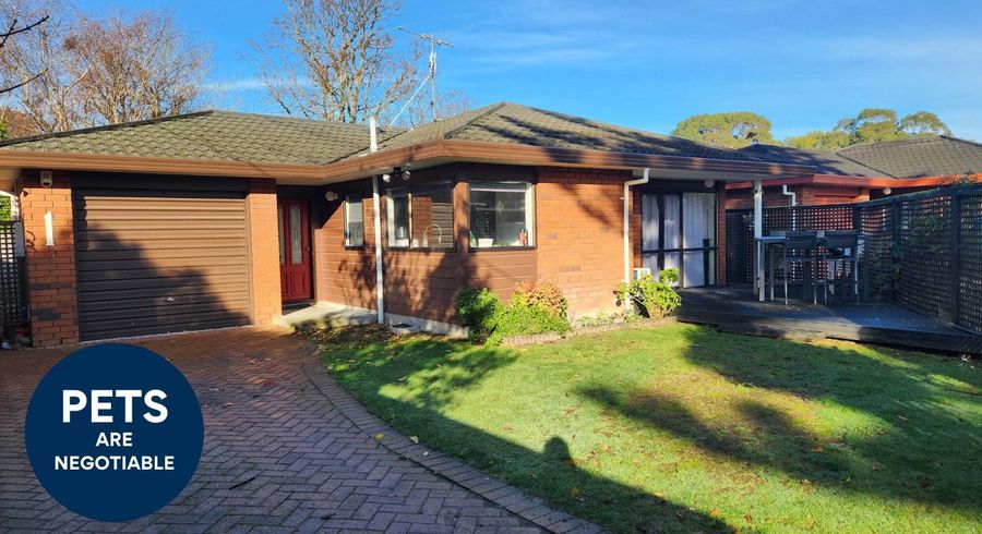  at 1 Cooper Street, Taita, Lower Hutt, Wellington