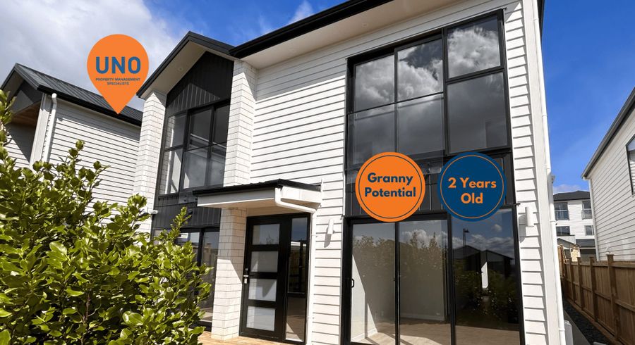  at 117 Longhorn Dr, Flat Bush, Manukau City, Auckland