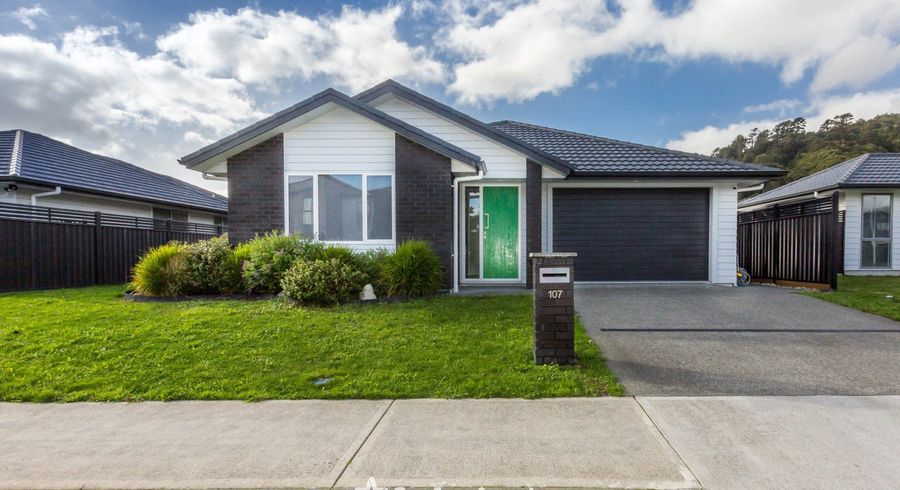  at 107 Mawai Hakona Drive, Wallaceville, Upper Hutt, Wellington