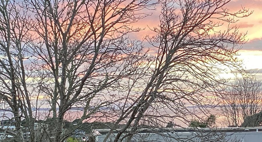  at 3/20 Castor Bay Road, Castor Bay, North Shore City, Auckland