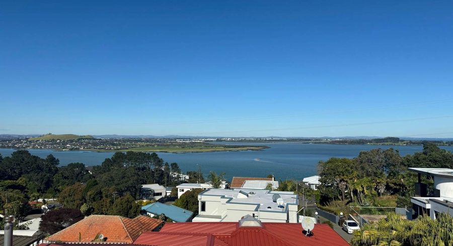  at 316 Hillsborough Road, Hillsborough, Auckland City, Auckland