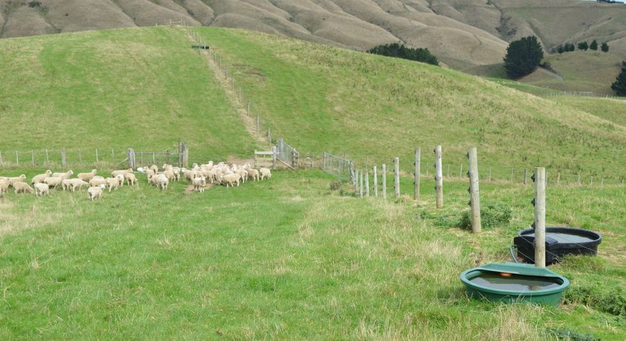  at 492 Moonshine Hill Road, Moonshine Valley, Upper Hutt, Wellington