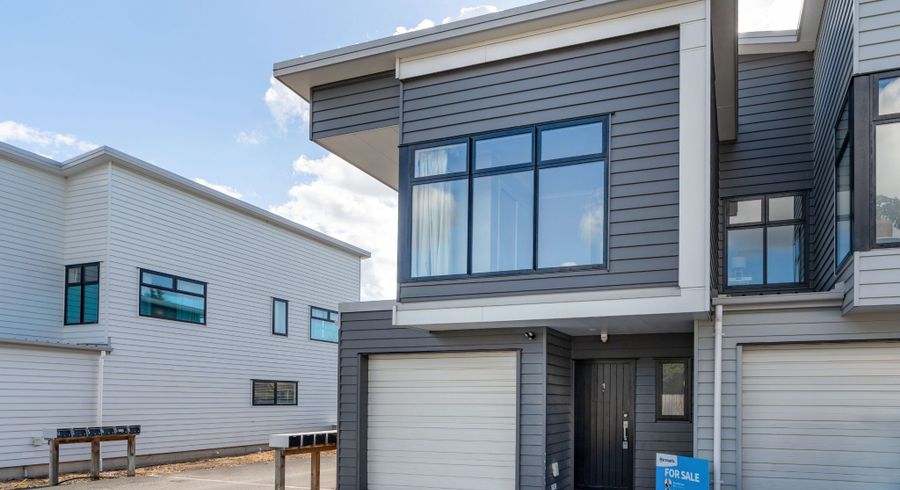 at 1/67 Fifth Avenue, Enderley, Hamilton
