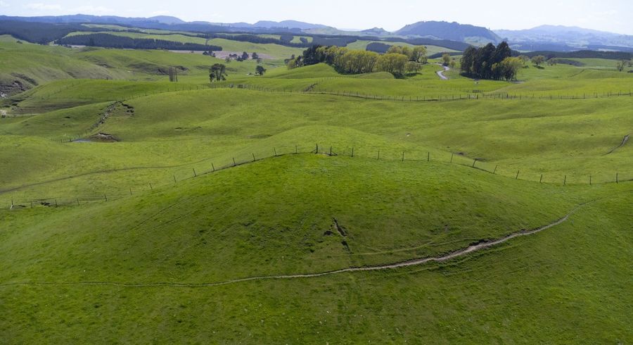  at 641 State Highway 5, Wairakei, Taupo, Waikato