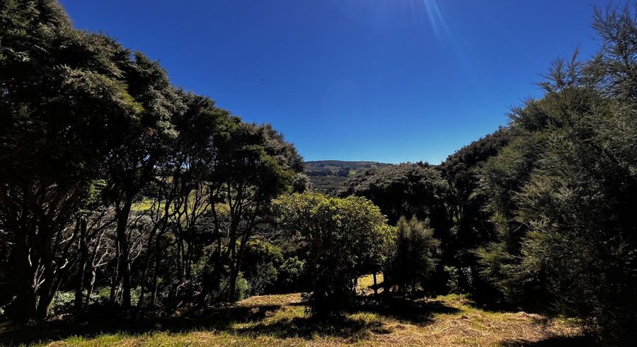  at 24 Fred Hollows Way, Glenleith, Dunedin, Otago