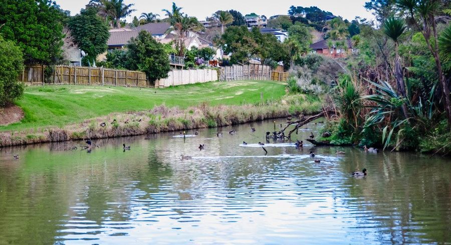  at 38b Caversham Drive, Torbay, North Shore City, Auckland