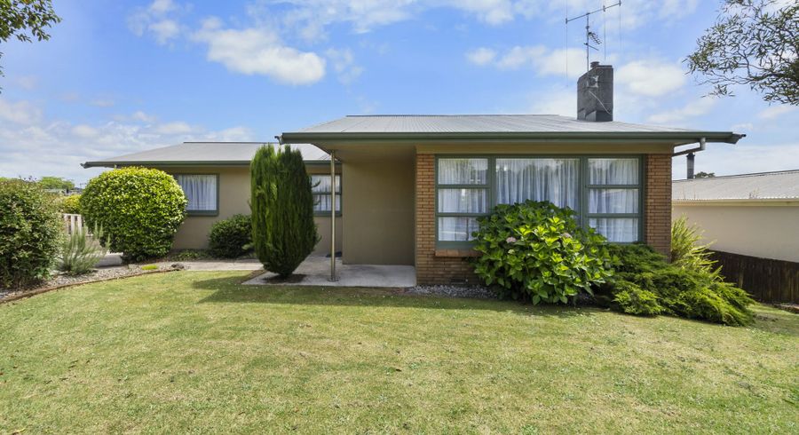  at 19 Pelorus Street, Glenview, Hamilton