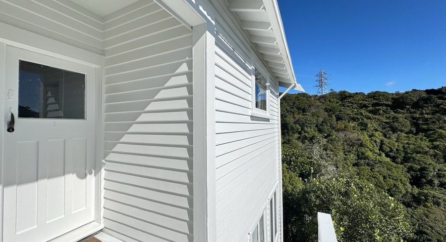  at 53 Durham Street, Aro Valley, Wellington, Wellington